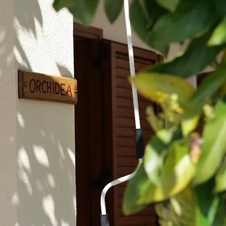 Case Vacanze La Quercia Marina di Camerota Exterior photo